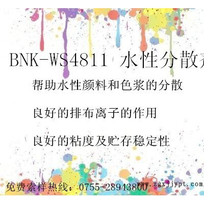 BNK-WS4811 水性分散劑