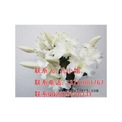 聚氨酯樹(shù)脂 1048軟發(fā)泡料 柔軟動(dòng)漫定格專用 PU發(fā)泡膠 仿真花草樹(shù)葉發(fā)泡劑