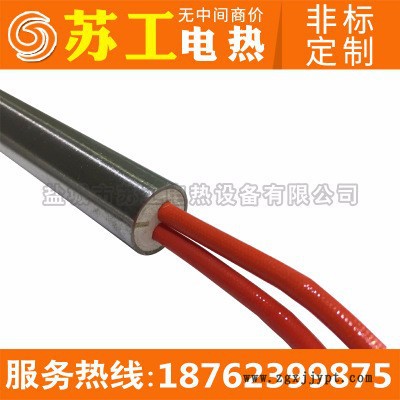 【蘇工電熱】不銹鋼模具加熱管 硫化機(jī)加熱棒 220V/1.2KW模具干燒加熱管 舉報 仿進(jìn)口高功率單頭加熱管