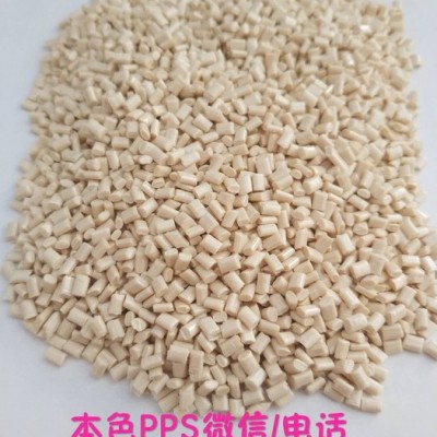 Basf/巴斯夫 PPS