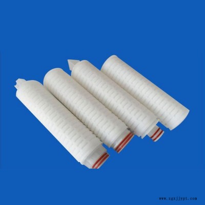 ** PP微孔折疊濾芯,、PTFE,、PVDF,、小折疊濾芯尼龍6/66系列