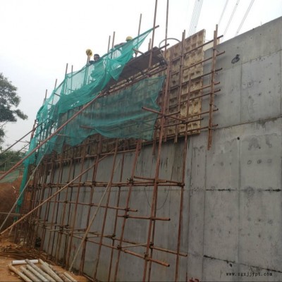 建筑塑料模板專(zhuān)業(yè)廠家 密肋建筑模板  pp覆膜板建筑塑料模板