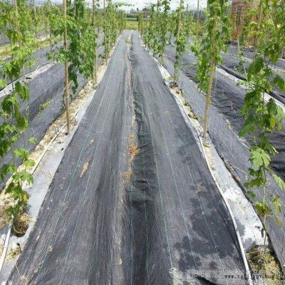 黑色90克防草布 果樹種植防草布 山東pp防草布生產(chǎn)廠家