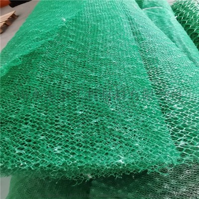 加工定制三維植被網(wǎng)護(hù)坡綠化固土三維網(wǎng)植被網(wǎng)