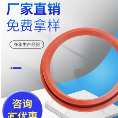 氟膠密封圈圓頂閥密封圈防漏水圓頂閥密封圈 切換閥密封圈圓頂閥