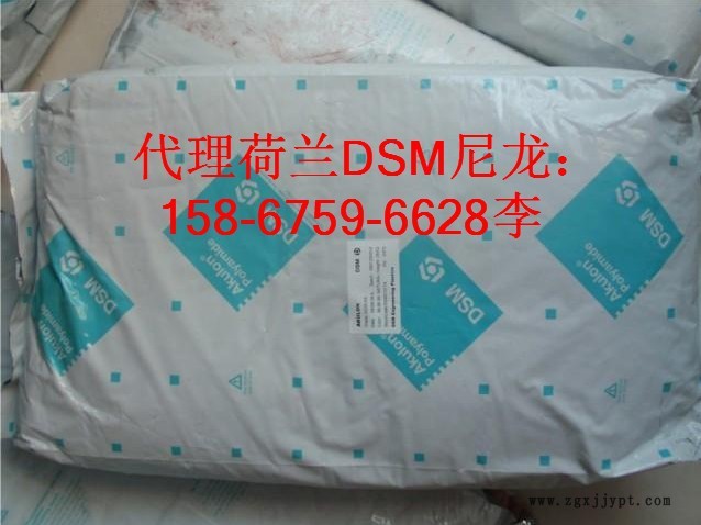 荷蘭DSM-4