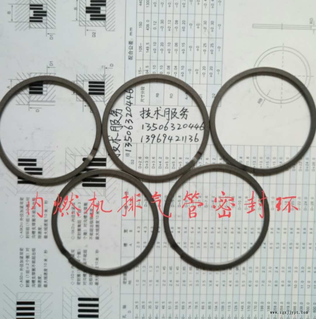 汽車(chē) 排氣管 密封環(huán) 密封圈 排氣管密封環(huán) 內(nèi)燃機(jī)排氣管密封環(huán)示例圖2