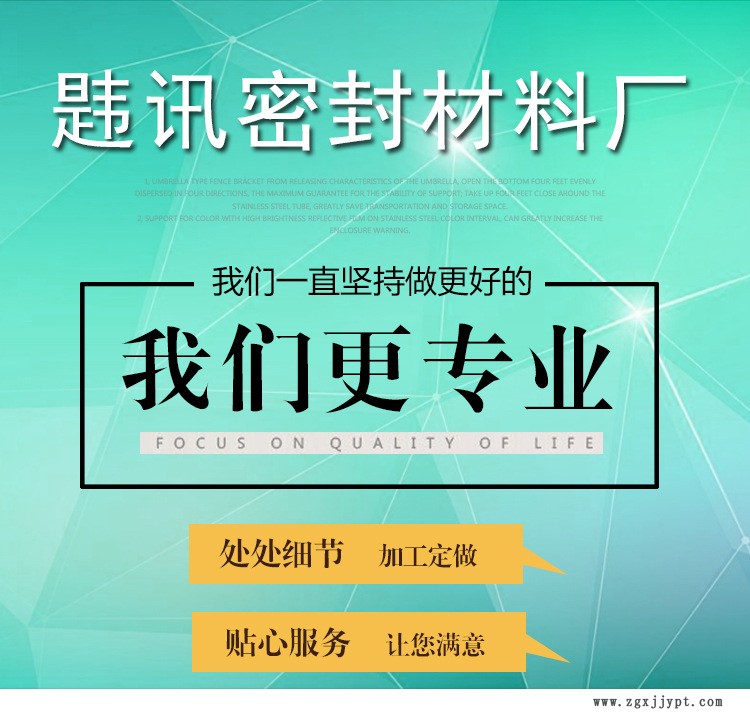 大城縣廠家直銷定制生產 聚乙烯四氟墊片 F4墊片 法蘭墊片 PTFE墊示例圖1