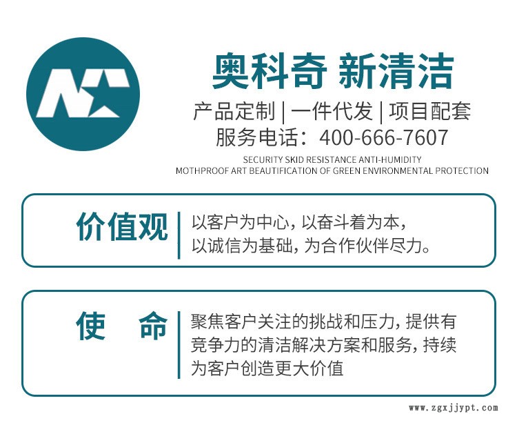 坦能250三速吹干機(jī)吹風(fēng)機(jī) Blower 三檔變速酒店賓館烘干地面地毯示例圖3