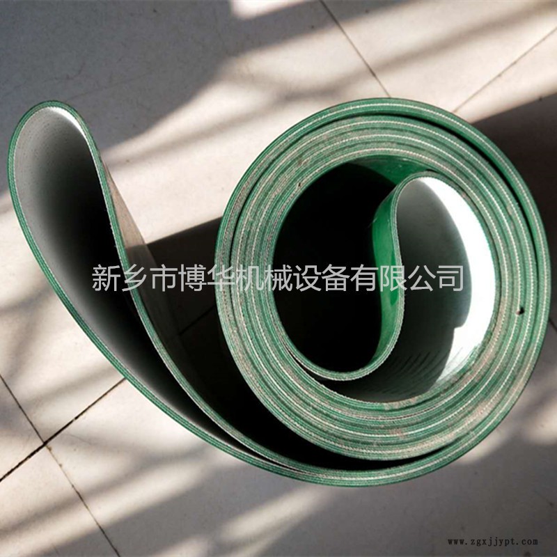 定做 食品分揀輸送機(jī)/包裝機(jī)用輸送食品皮帶 傳送帶 PVC帶示例圖1