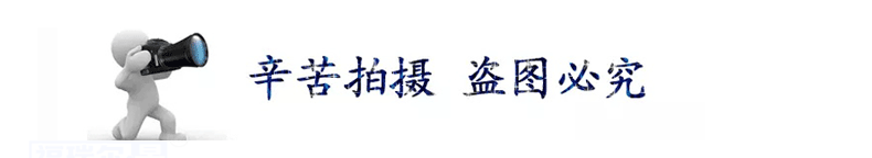 尼龍?zhí)准庸ざㄗ?MC耐磨含油尼龍?zhí)?PA6尼龍?zhí)啄猃埶芰蠙C械用軸套示例圖3
