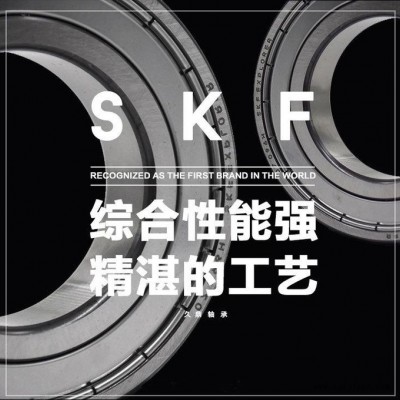 瑞典SKF軸承 KRV 30 PPA廠家