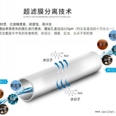 UF超濾膜  PVDF超濾膜,，PVDF材質(zhì)膜絲  柱式超濾膜，替代2860