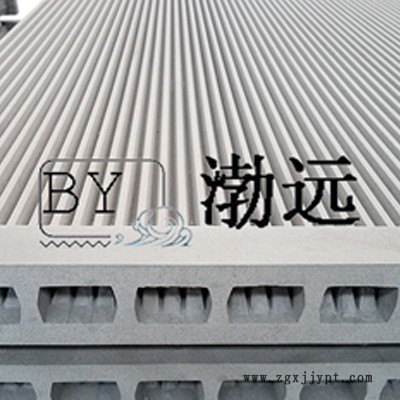 專注生產(chǎn)16年塑燒板帶PTFE涂層BYSL1500/9等多種型號 塑燒板濾芯 燒結(jié)板生產(chǎn)廠家