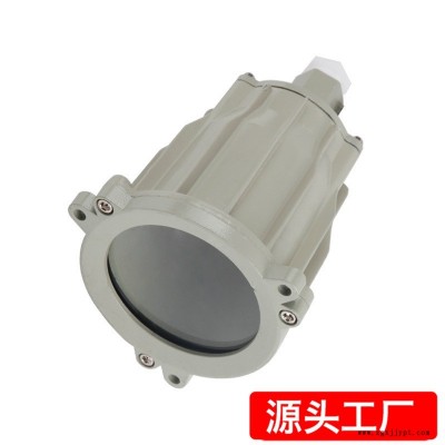 防爆視孔燈 BSD96化學(xué)容器LED視孔燈 12V24V36V220V反應(yīng)釜視鏡燈