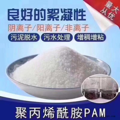 淳博化工供應 PAM 聚丙烯酰胺 陽離子 陰離子 凈水劑 **