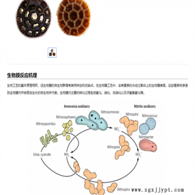 生物填料設(shè)備-華利德塑機-一出六生物填料設(shè)備