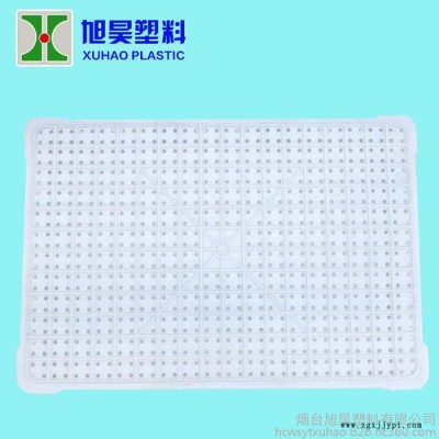 56號圓眼草莓箱 610*420*125 mm 水果周轉(zhuǎn)箱運輸筐食品衛(wèi)生等級