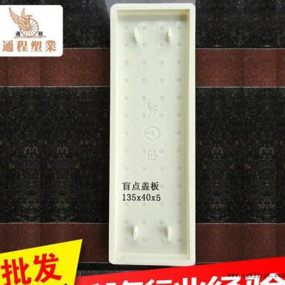 專業(yè)提供 鐵路蓋板塑料模具盲點蓋135x40x5 窨井蓋塑料模具