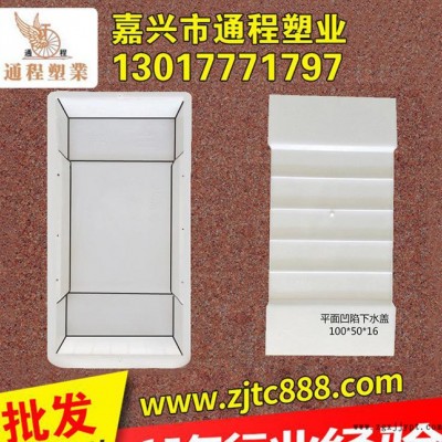 ** 水溝蓋板塑料模具 平面凹陷下水蓋塑料模具100x50x16