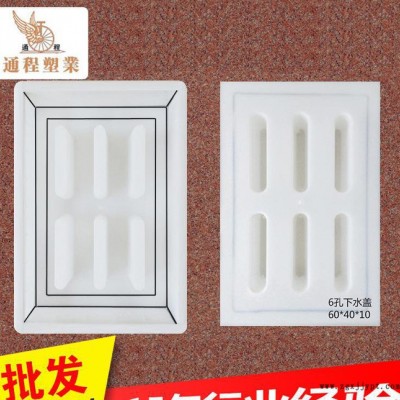 6孔下水蓋板塑料模具 60x40x10 鐵路蓋板塑料模具