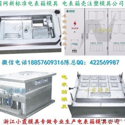 大型注塑模具 新國網(wǎng)三相九電表箱模具廠家地址