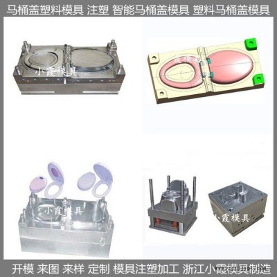 臺(tái)州注塑模具廠家 塑膠蹲便器模具塑膠坐便器模具