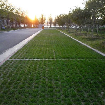 南京植草地坪 南京現(xiàn)澆植草地坪 植草地坪施工 植草地坪模具 中創(chuàng)華美