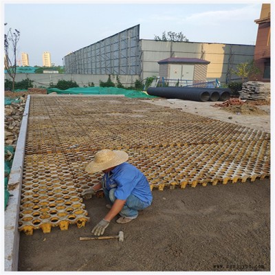 高承載植草地坪 現(xiàn)澆植草地坪 植草地坪模具 植草地坪施工 中創(chuàng)華美