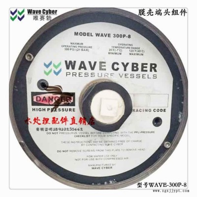 英國唯賽勃WAVECYBER WAVE-300P-8反滲透膜殼端蓋堵頭密封圈