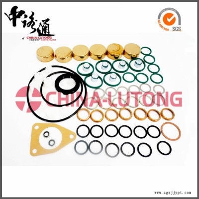 發(fā)動(dòng)機(jī)密封件800019/2417010010修理包