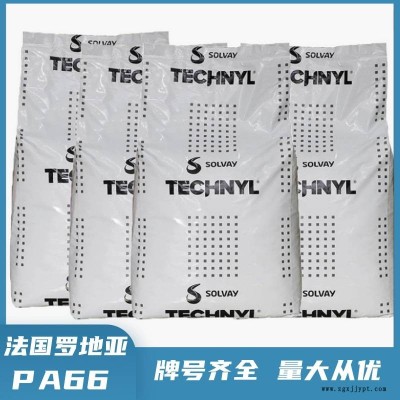 PA66 法國羅地亞 TECHNYL A216 耐沖擊 耐化學(xué)性 尼龍66原料