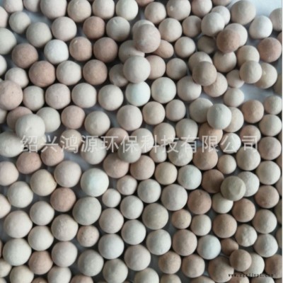 鴻源新品 廢水處理臭氧催化劑 工業(yè)廢水處理催化劑 污水處理臭氧氧化催化劑 貴金屬催化劑 免費拿樣臭氧催化劑批發(fā)
