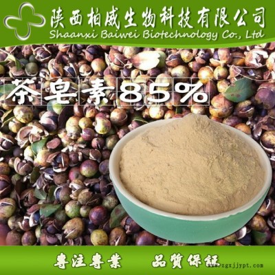 茶皂素 茶樹籽提取物 發(fā)泡劑 天然非離子表面活性劑 現(xiàn)貨批發(fā)價(jià)格 柏威