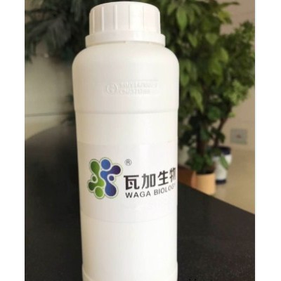 安徽專業(yè)水性木器漆專用抗菌劑 優(yōu)質(zhì)推薦 上海瓦加生物科技供應(yīng)