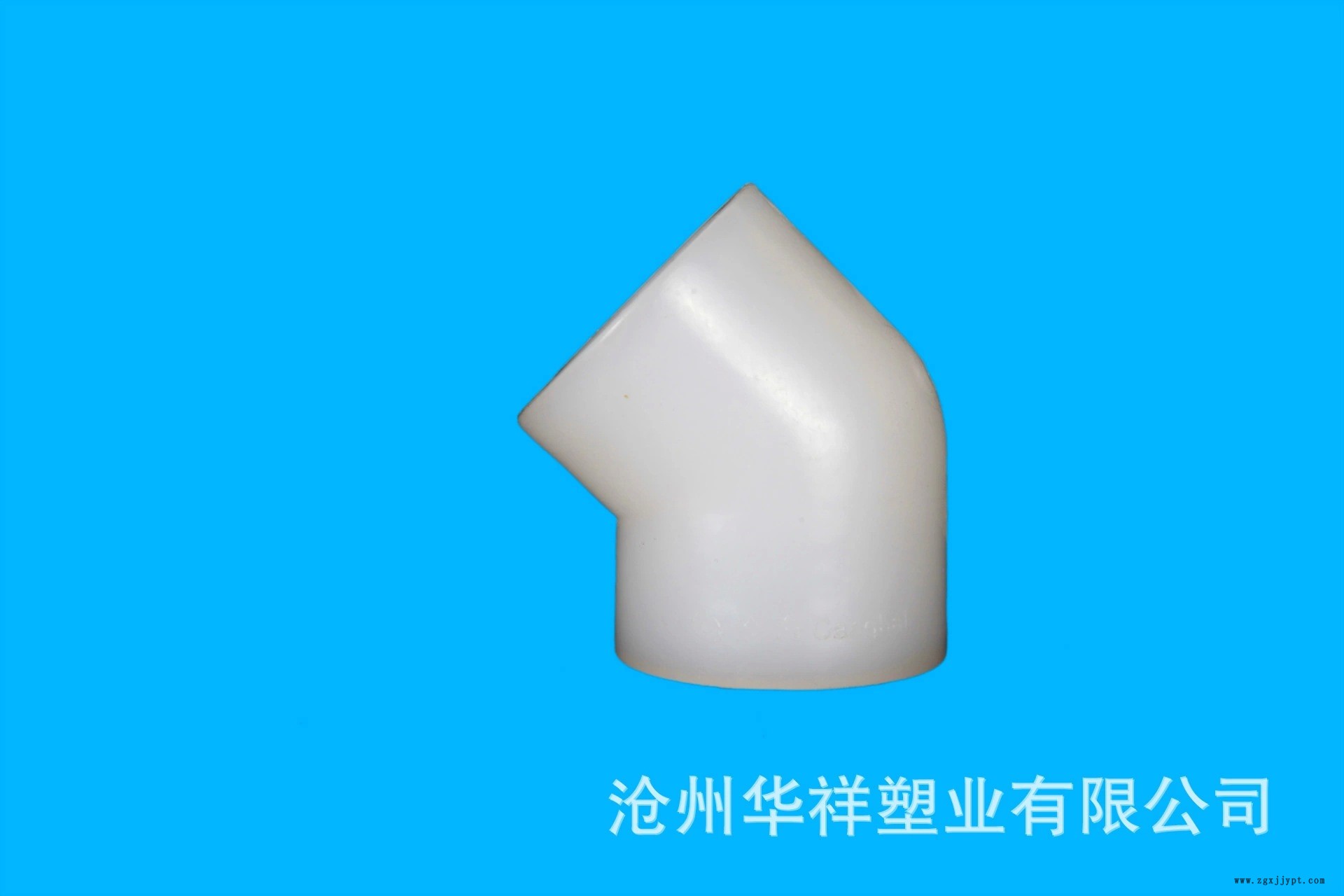 PVDF45°彎頭a.webp