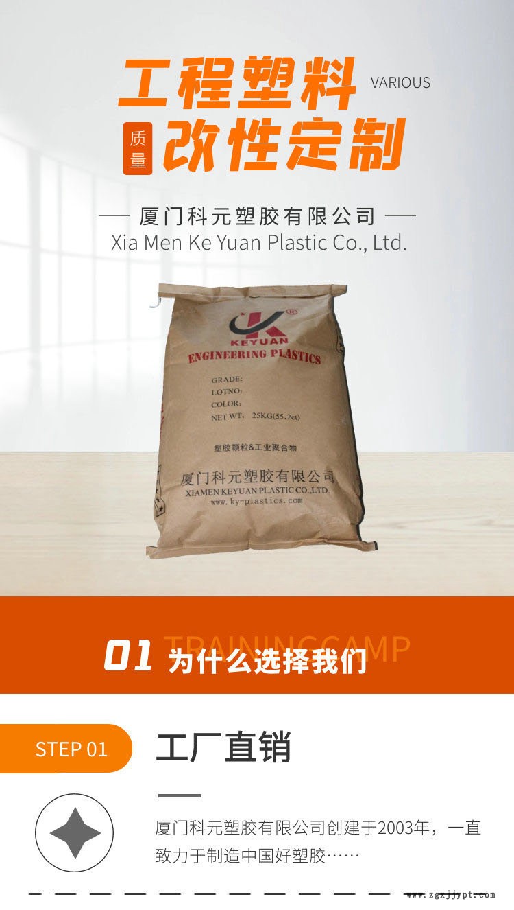 通_頭部_副本