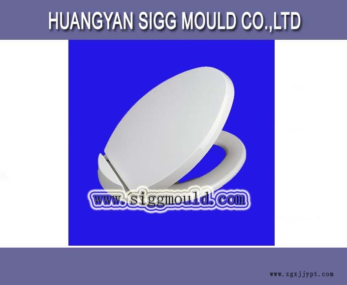 Oval Toilet Seat mould