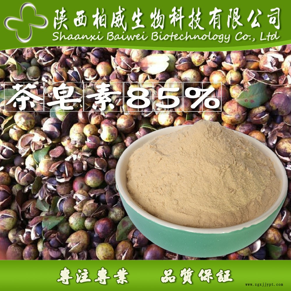 茶皂素 茶樹(shù)籽提取物 發(fā)泡劑 天然非離子表面活性劑 現(xiàn)貨批發(fā)價(jià)格示例圖3