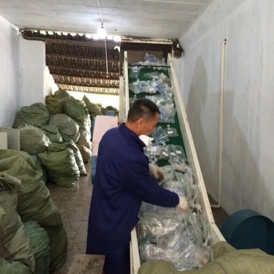 輸送帶上料機(jī)，礦泉水瓶上料機(jī)，塑料顆粒上料機(jī)，直線上料機(jī)，瑞泉塑料機(jī)械有限公司