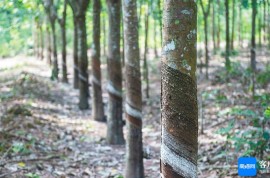 中國熱科院牽頭成果獲國家科學技術進步獎二等獎